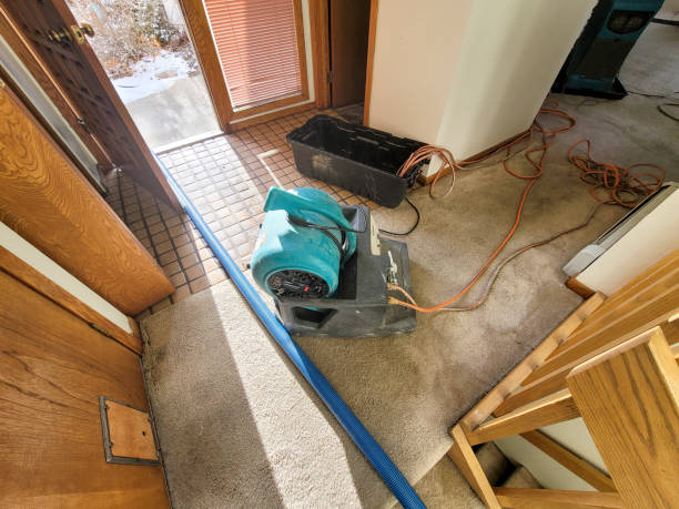 Best 24-hour water damage restoration  in North Kansas City, MO