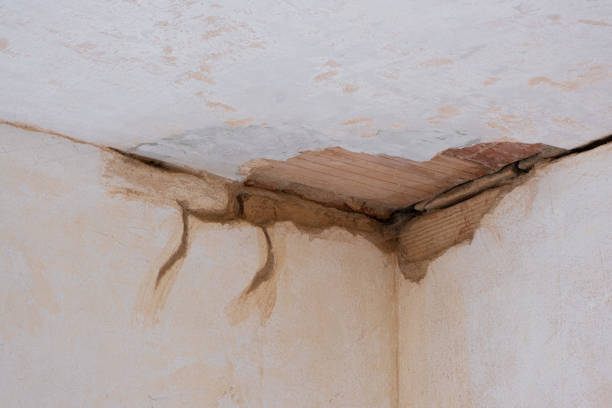 Best Flood restoration services  in North Kansas City, MO