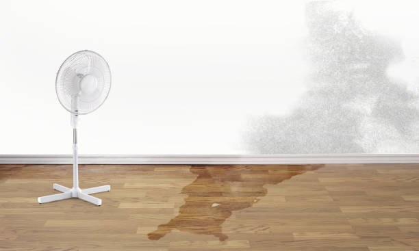 Best Fire Damage Restoration  in North Kansas City, MO