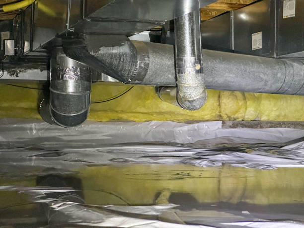 Best Professional water damage repair  in North Kansas City, MO